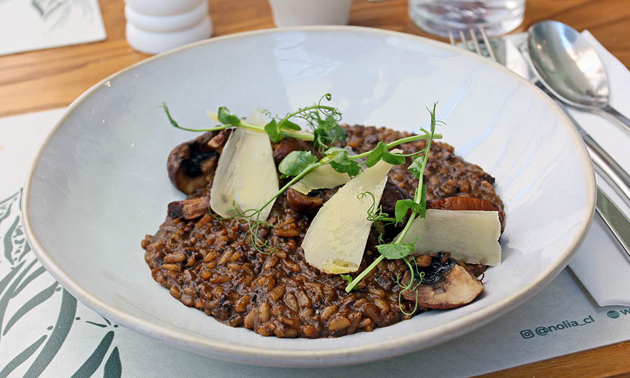 Risoto de setas - Nolia