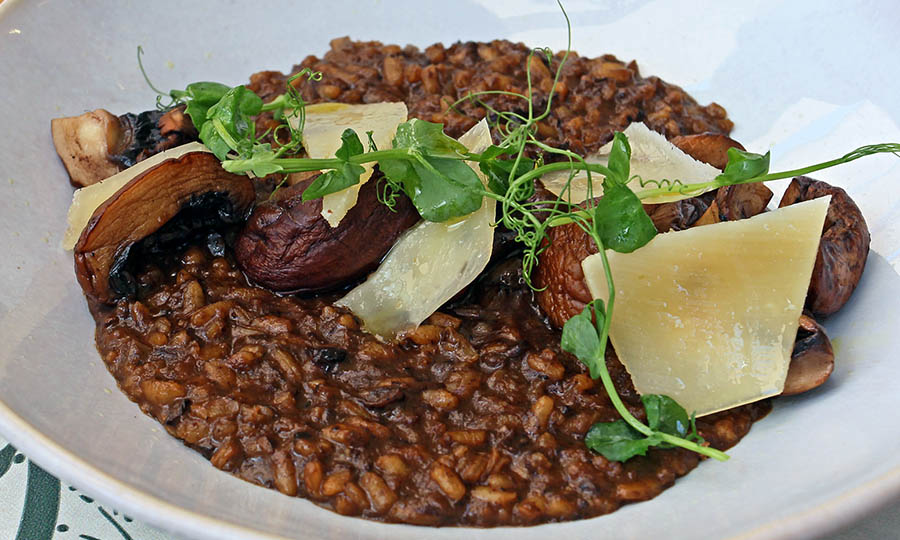 Risoto de setas - Nolia