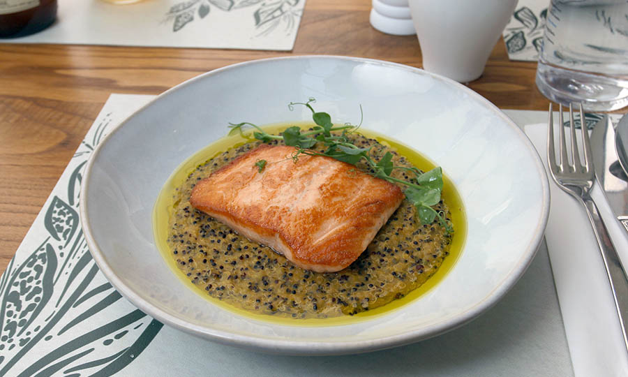 Salm�n con quinoto de zapallo - Nolia