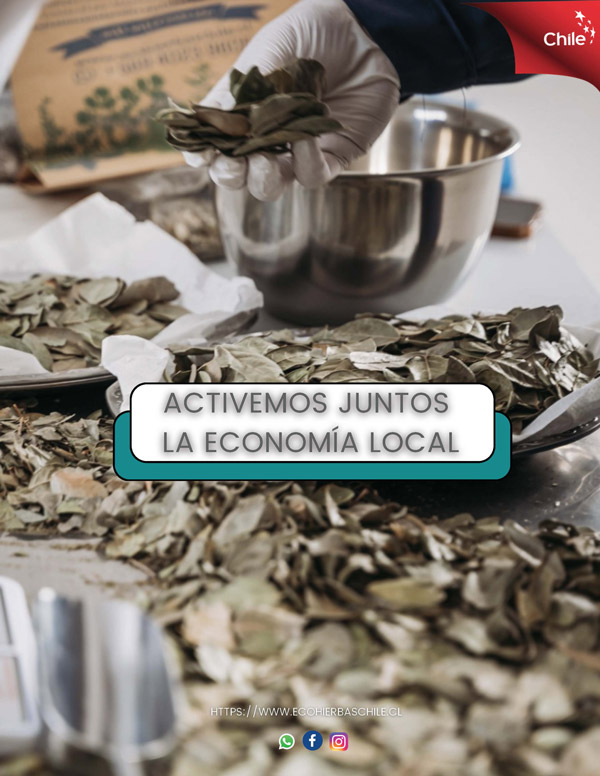  - Ecohierbas Chile