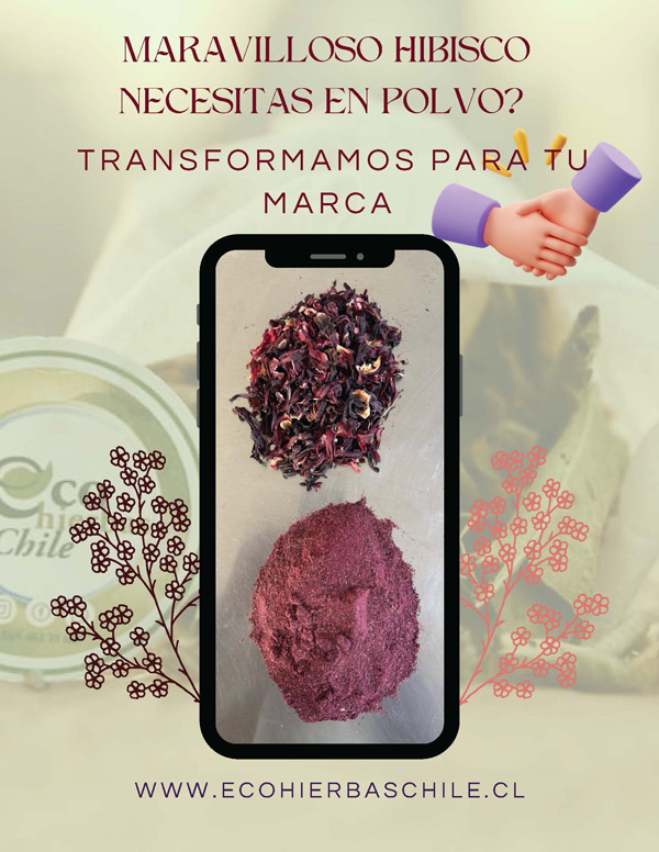  - Ecohierbas Chile