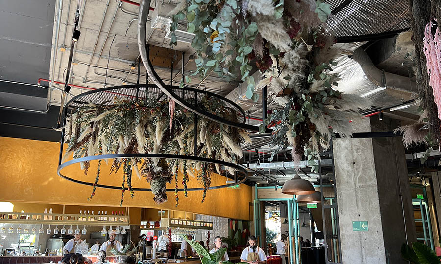 Detalles del restaurante Casa Asa en el MUT - Casa Asa - MUT