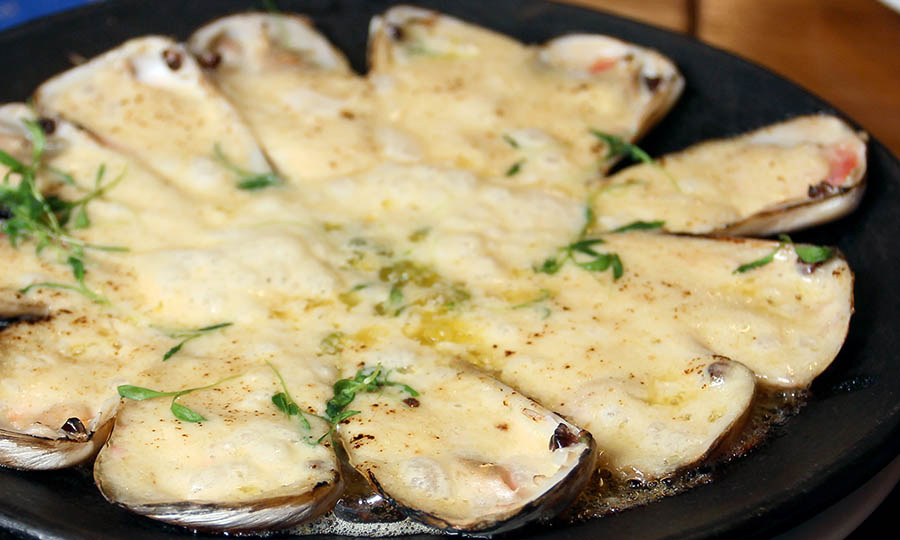Cremosas Machas parmesana  - Caleta de Locos