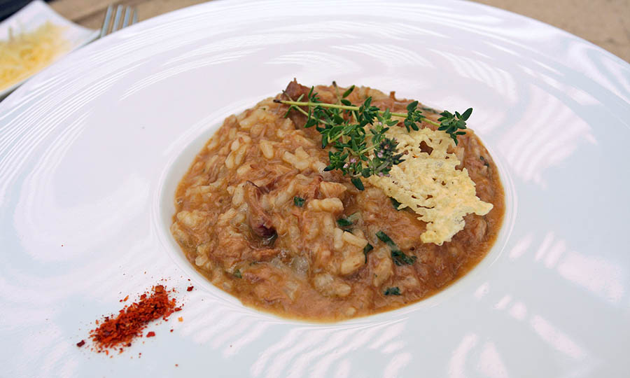 Risotto de callampas con costra de parmesano - Tanino de Casas Del Bosque