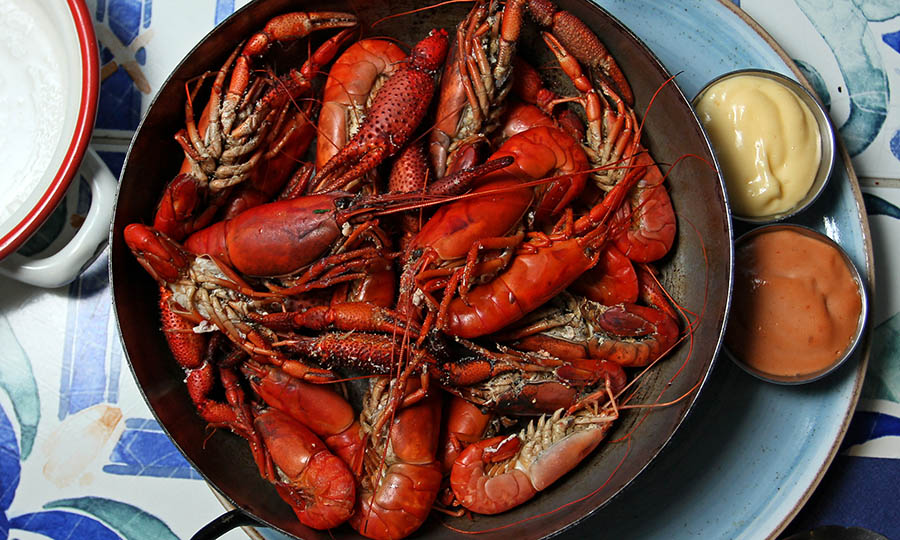 Camarones de r�o del Limar� pulcros - La Tasca de Altamar