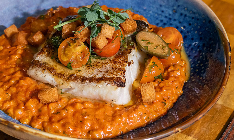 Pesca del d�a: merluza austral con mote atomatado - Caf� Med Marriott