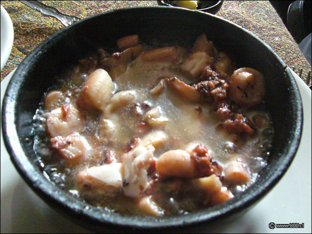 Pulpo al pil pil - Don Gaviota El Roble (Recoleta)