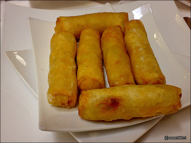 Spring Roll - Palacio Danubio Azul (PDA)