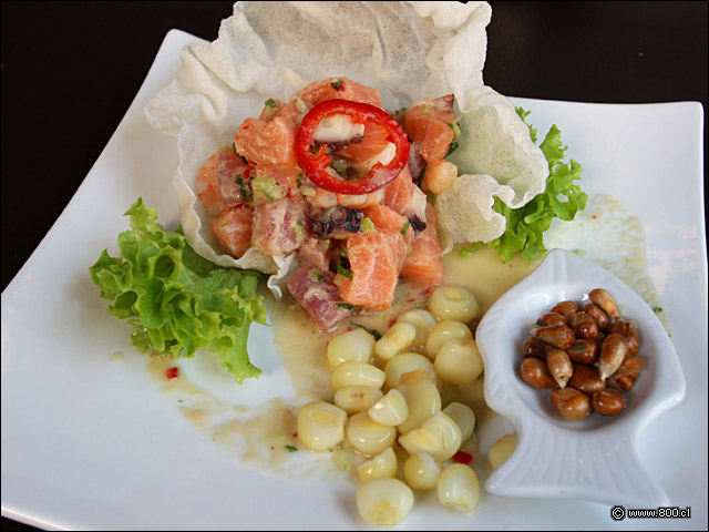 Ceviche Zabo - Zabo (Lastarria)