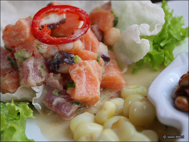 Ceviche Zabo - Zabo (Lastarria)
