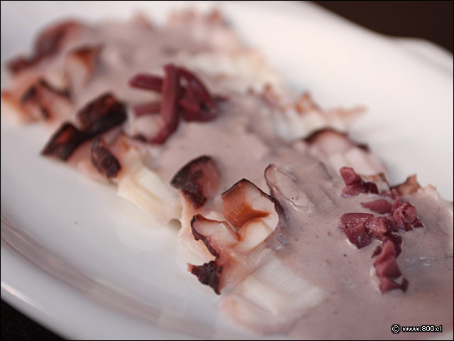 Pulpo al Olivar - Zabo (Lastarria)