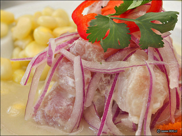 Detalle de Ceviche de Corvina (1) - La Mar Cebichera