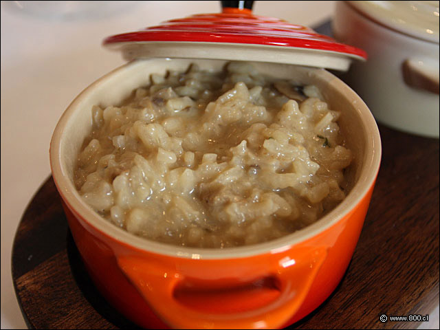 Risotto de Champinones Salvajes - Senso - Mandarin Oriental Santiago