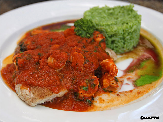 Corvina Puta Madre