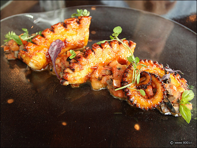 Pulpo Glaseado - Oporto Steak Bar