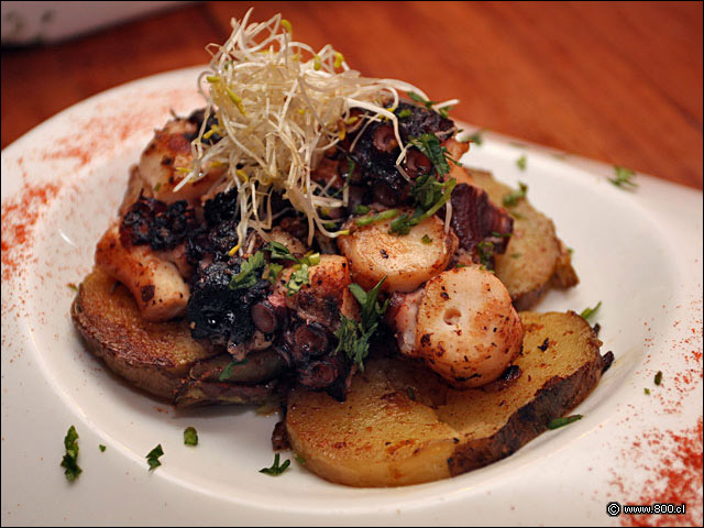 Pulpo a la Gallega - Pata Negra