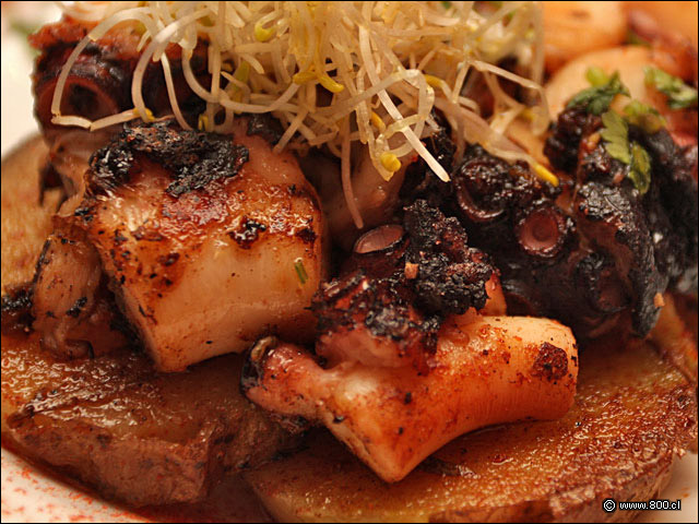 Detalle de Pulpo a la Gallega - Pata Negra