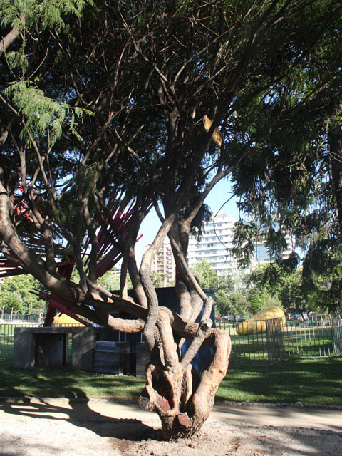  - Parque de las Esculturas