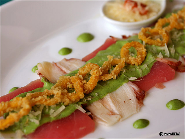 Tiradito De Pulpo y Atn - Alfresco (Las Condes)