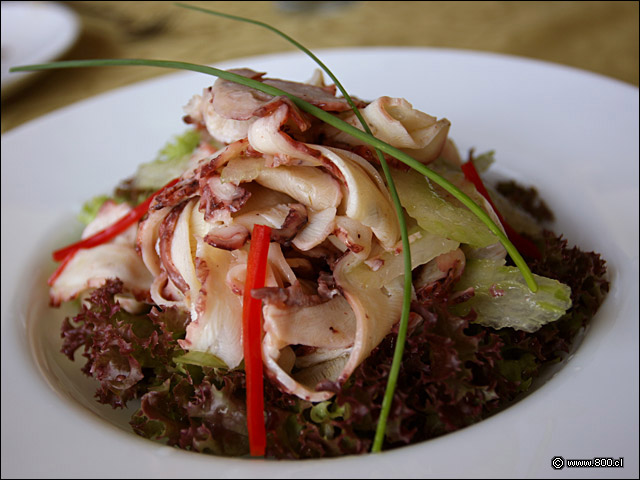 Pulpo a Los Tres Olivos - Alfresco (Las Condes)