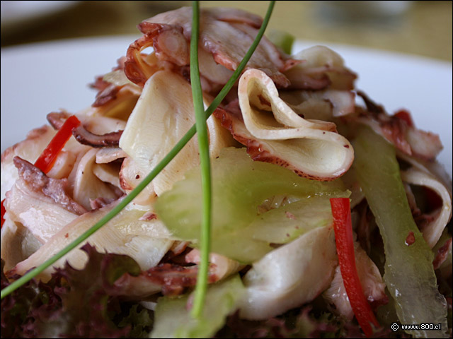 Pulpo a Los Tres Olivos - Alfresco (Las Condes)