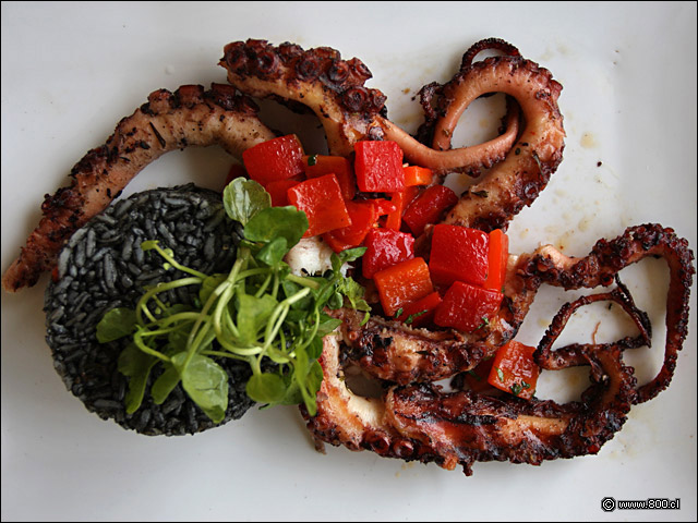 Pulpo Grillado con Arroz en su Tinta - Alfresco (Las Condes)