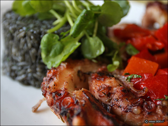 Pulpo Grillado con Arroz en su Tinta - Alfresco (Las Condes)