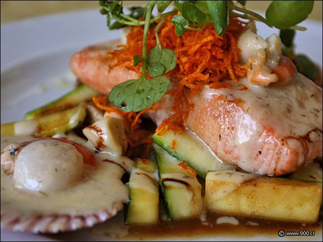 Salmn y Ostiones al Martini - Alfresco (Las Condes)