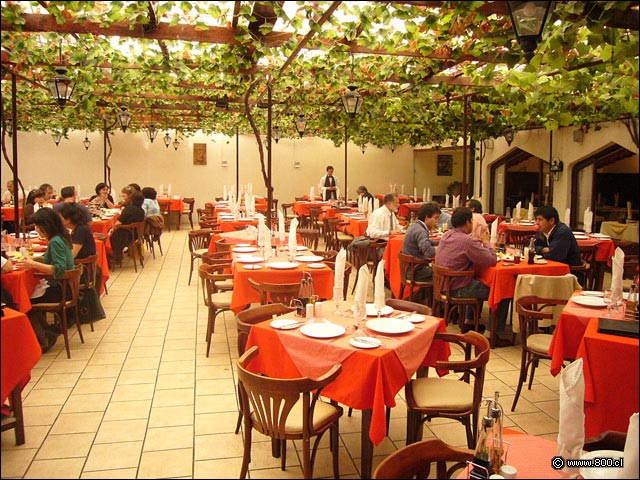 Terraza - El Parr�n (Providencia)
