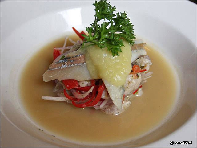 Ceviche Urbano - Cvico - La Moneda