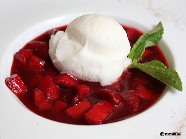 Sopa de Frutas - Cvico - La Moneda
