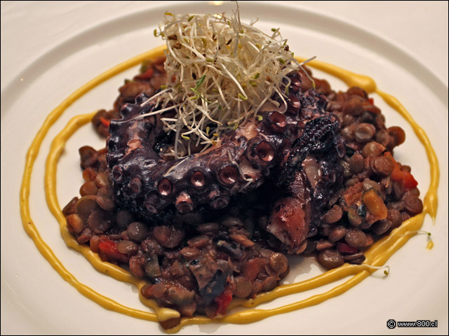 Pulpo - Cvico - La Moneda