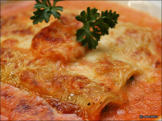 Detalle de Canelones - Alfresco Peruan�simo (Recoleta)
