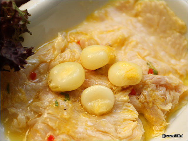 Tiradito Criollo - Alfresco Peruan�simo (Recoleta)