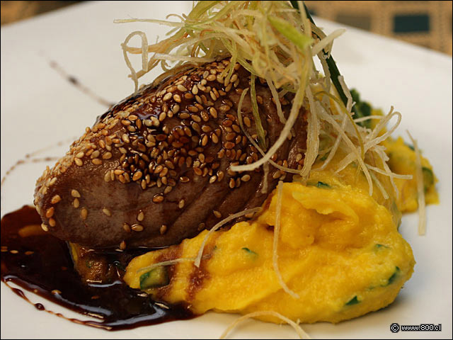 At�n Sellado en S�samo - Alfresco Peruan�simo (Recoleta)