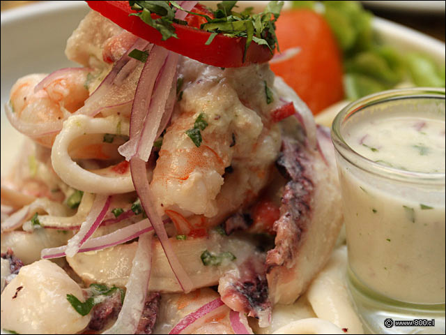 Ceviche Especial Peruanisimo - Alfresco Peruan�simo (Recoleta)