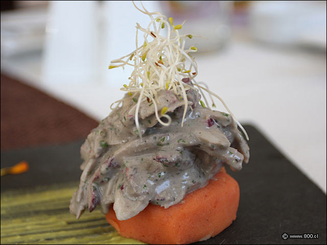 Causa de Pulpo - Sol de M�ncora