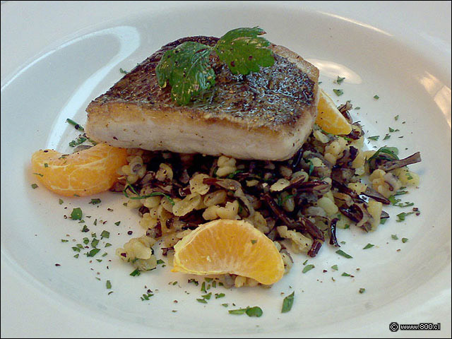 Filete de Corvina - Blue Jar