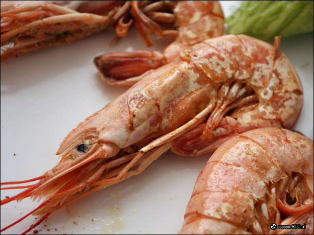 Detalle de Lagostinos (2) - Do�a In�s