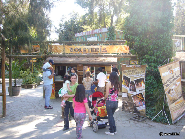 Boleter�a - Buin Zoo
