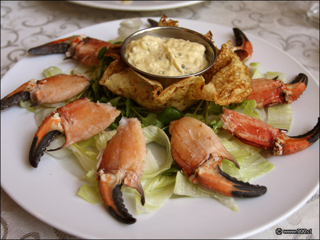 Pinzas de jaiba y tartara