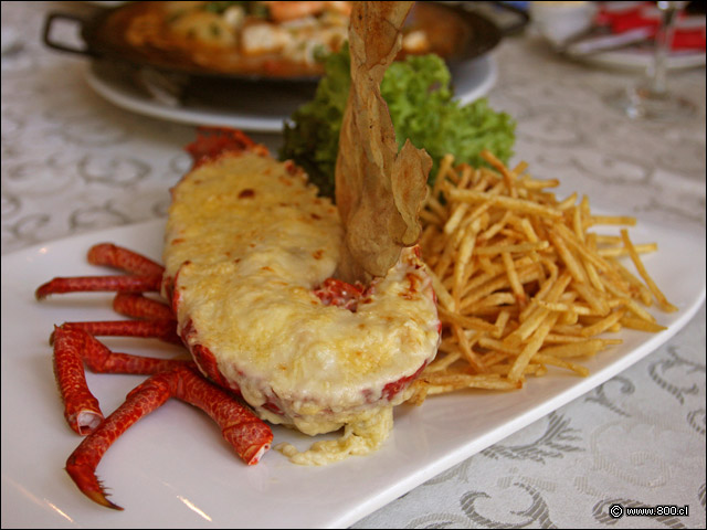 Langosta a la parmesana