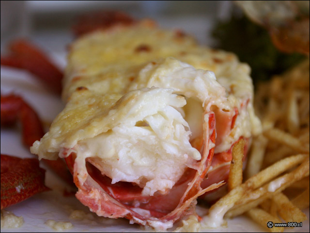 Langosta a la parmesana
