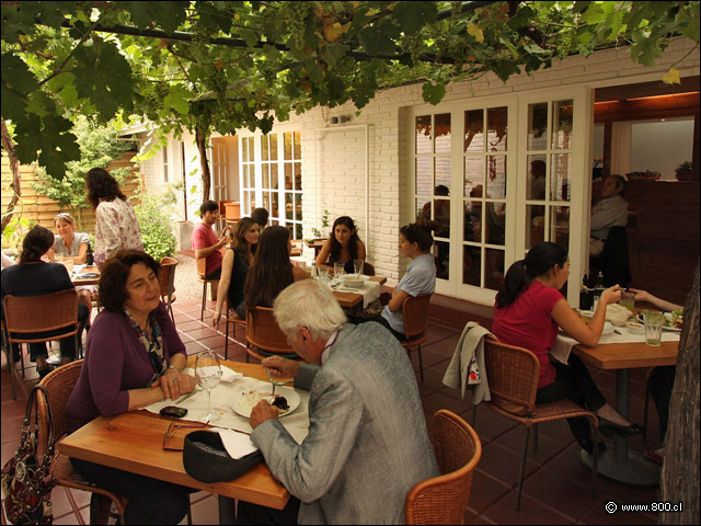 Terraza - Qunoa Restaurante