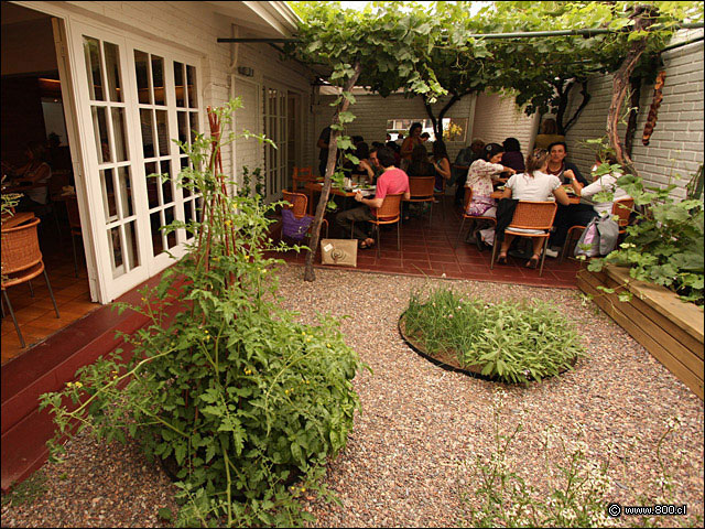 Terraza - Qunoa Restaurante