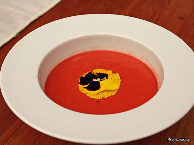 Gazpacho de Guindas - Qunoa Restaurante