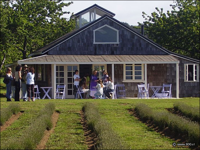 Fachada - Casa de T Lavanda