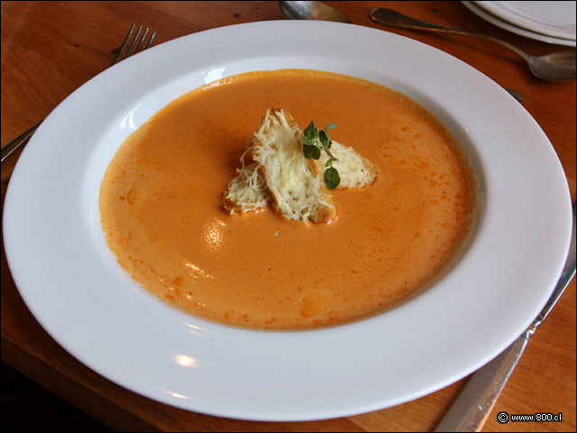 Sopa de Tomates al Vodka