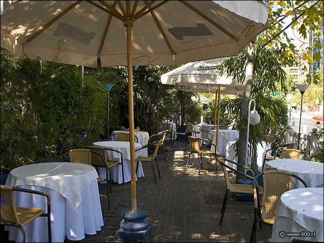 Terraza - Puerto Marisko