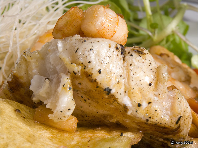 Detalle de Congrio con Mariscos Salteados 1 - Puerto Marisko